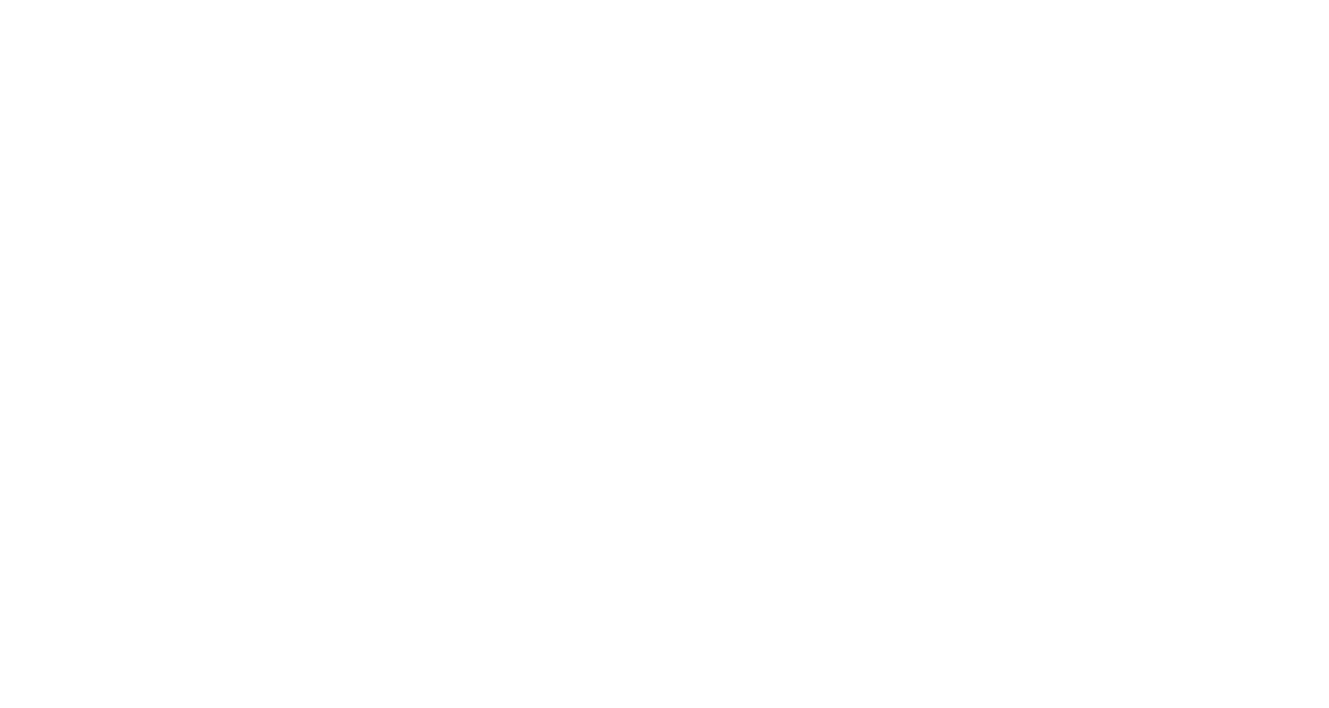 PLAY WITH FIRE EVENT LOGO