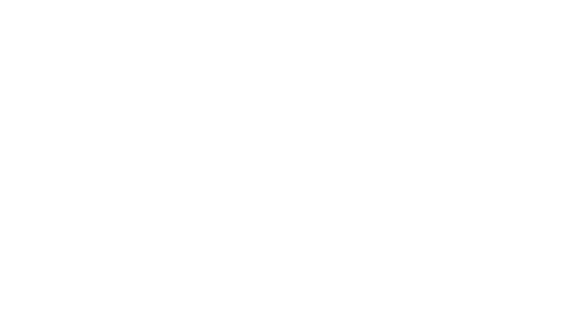 PLAY WITH FIRE LOGO